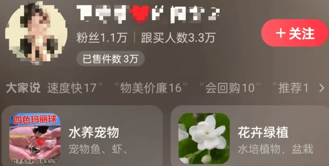 小眾賽道不卷，短視頻賣綠植月入6w+